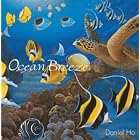 Ocean Breeze by Daniel Ho