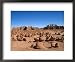 Goblin Valley State Park, Utah, United States of America, North America Collections Framed Art Poster Print by Thorsten Milse, 22x18