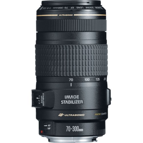 Childrens Toyshop  Photo : Canon EF 70-300mm f/4-5.6 IS USM Lens for Canon EOS SLR Cameras