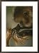 A female gelada, Theropithecus gelada, grooms her mates tail Subject Framed Art Poster Print by Michael Nichols, 21x29 Image