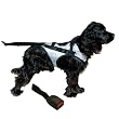 Snoozer Pet Safety Harness With Adapter Combination, Grey & Black, Large Snoozer Pet Safety Harness With Adapter Combination, Grey & Black, Large