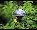 Audubon Cling-A-Wing Globe Style Bird Feeder