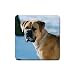 Bullmastiff Rubber Square Coaster (4 pack)