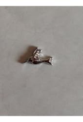 Silver HUMMINGBIRD Floating Charm