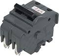 Connecticut Electric UBIF230N FPE Circuit Breaker, 2-Pole 30-Amp Thick Series