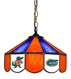University of Florida Gators Stained Glass Bar Light