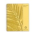 Ampad Envirotec Subject Notebook, College/Medium Rule, 8.87 x 11 Inches, White, 100 Sheets (40103)