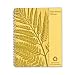 Ampad Envirotec Subject Notebook, College/Medium Rule, 8.87 x 11 Inches, White, 100 Sheets (40103)