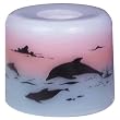 Dolphins Candle