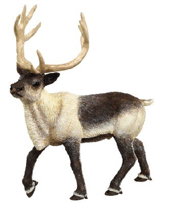 Buy REINDEER by Safari, Ltd.