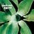 Exciter
