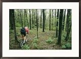A bicyclist rides through the woods Sports Framed Art Poster Print by Skip Brown, 29x21