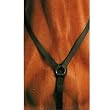 Wintec Breastplate