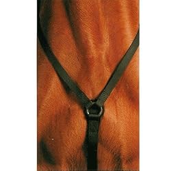 Wintec Breastplate
