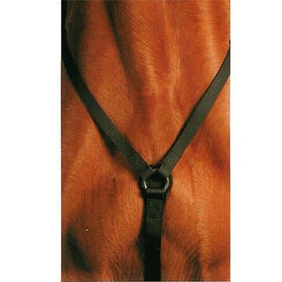 Wintec Breastplate