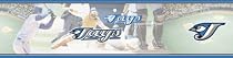 Toronto Blue Jays MLB Prepasted Wall Border, 6-Inch-by-15-Foot