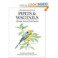 Pipits and Wagtails of Europe, Asia and North America: Identification and Systematics (Helm Identification Guides)