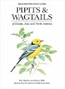 Pipits and Wagtails of Europe, Asia and North America