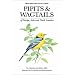 Pipits and Wagtails of Europe, Asia and North America: Identification and Systematics (Helm Identification Guides)