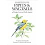 Pipits and Wagtails of Europe, Asia and North America: Identification and Systematics (Helm Identification Guides)
