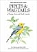 Pipits and Wagtails of Europe, Asia and North America: Identification and Systematics (Helm Identification Guides)