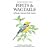Pipits and Wagtails of Europe, Asia and North America: Identification and Systematics (Helm Identification Guides)
