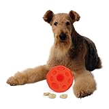 Omega Paw Tricky Treat Ball