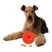 Dog Toys