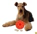 Omega Paw Tricky Treat Ball, Large