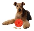 Omega Paw Tricky Treat Ball