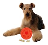 Omega Paw Tricky Treat Ball