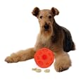 Omega Paw Tricky Treat Ball, Large