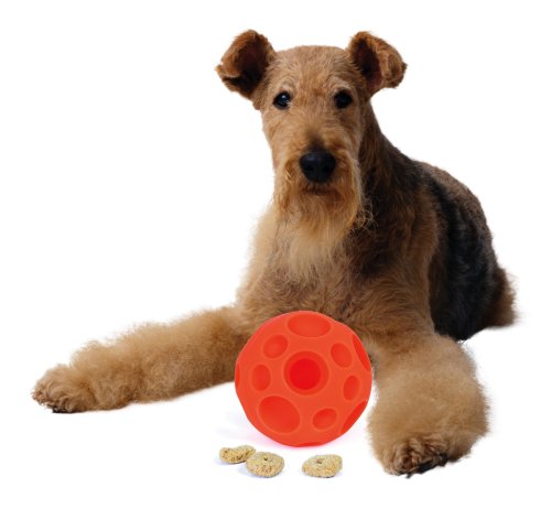 Omega Paw Tricky Treat Ball, Large