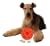 treat ball home