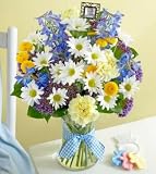 Same Day Flower Delivery Bouquet for Baby with Frame
