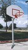 GOOSENECK SYS/DOUBLE RIM/ NYLON NET/PAINTED BCKBRD