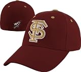 Florida State Seminoles Dynasty Primary Team Color Fitted Hat - B0000A1CJ8