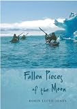 Fallen Pieces of the Moon