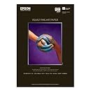 Epson Velvet Fine Art Paper (13x19 Inches, 20 Sheets) (S041637)