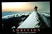 Ambition Motivational Poster HUGE NEW inspirational - 24" x 36"