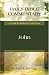 Book John: A Guide for Reflection and Prayer (Daily Bible Commentary)