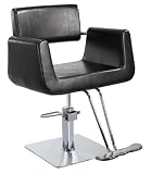 Modern Hydraulic Barber Chair Styling Salon Beauty 69