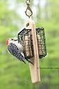 Birds Choice Double Cake Hanging Suet Feeder