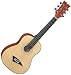 Dean Playmate 1/2 Steel String Acoustic Guitar