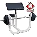 Deltech Fitness Preacher Curl Bench