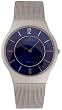 Skagen Mesh Titanium Blue Mens Watch 233LTTN