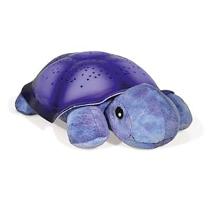 Turtle Night Light Stars Constellation Light
