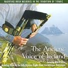 The Uilleann Pipes-Mick O'Brien ACMCD101