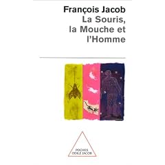 La souris, la mouche et l'homme