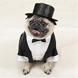 Casual Canine Dog Tuxedo - Dog Costume - Large